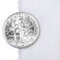 Poplin_dime_thumb_thumb_preview