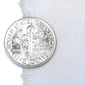 Twill_dime_preview