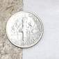 Modernjersey_dime_preview
