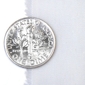 Poplin_dime_thumb_preview