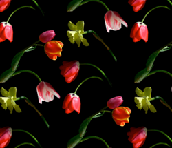 Spoonflower_shop_preview
