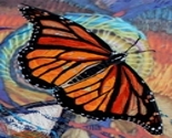 Spoonflower_image_thumb