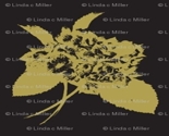 Black_night_hydrangea_by_linda_c._miller_copyright_linda_c._miller_2014_thumb
