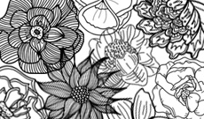 Image of the artist tarynillustrates who created this design