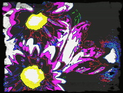 Flowers_edited_preview