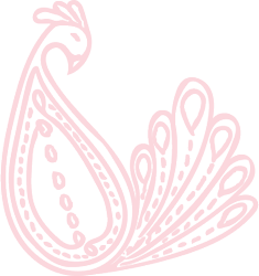 Peacockpatch_pink_preview