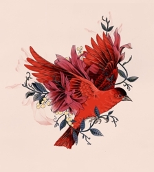 Bloomingbird_la_scarlatte_preview
