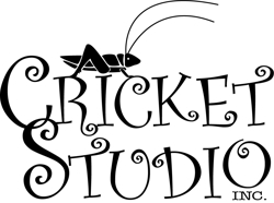 Cricket_studio_preview