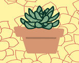 Succulent_icon_thumb