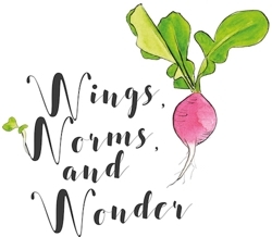 Wingswormsandwonder-logo-498_preview