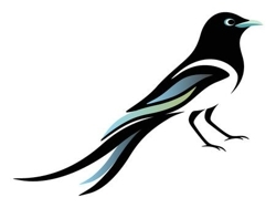 37536788-stock-vector-magpie_preview