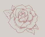 Courtney-rose-design-icon_thumb