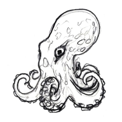 Octopusidpopr_preview