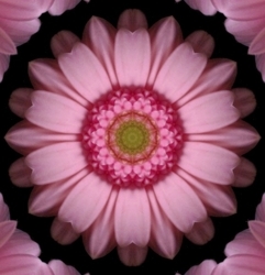 Flower_caleidoscope2_preview