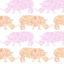 Rhinos_preview