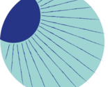 Logo-soatdesign-pattern-web-19_thumb