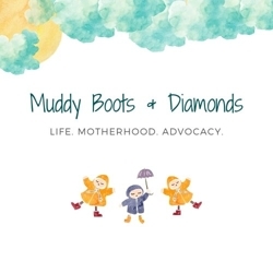 Muddy_boots_and_diamonds_etsy_logo_preview