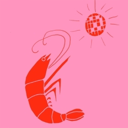 Disco_shrimp_light_pink_background_square_smaller_2_preview