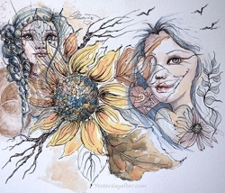 Wild_sunflower_header1_s_small_preview