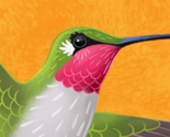 Hummingbird_pattern_orange_thumb