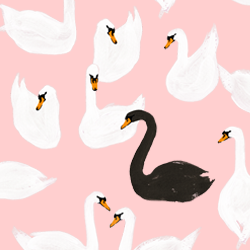 Cover_user_spoonflower_preview