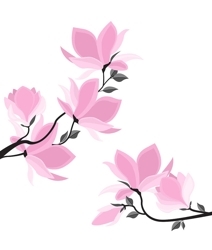 Vector-magnolia-flowers-miroslava-hlavacova_preview