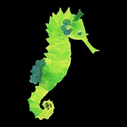 Seahorse_avatar_512sq_preview