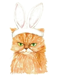 Cat_bunny_preview