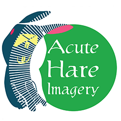Acute_hare_logo_color250_preview