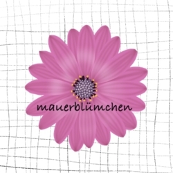 Mauerbl_mchen__2_preview