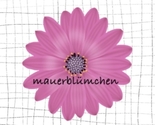 Mauerbl_mchen__2_thumb