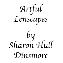 Sharon-hull-dinsmore-artful-lenscapes-logo_preview