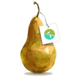 New_shop_icon_pear_and_tag_green_blue_preview