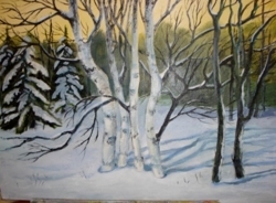 Birch_trees_preview