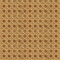 3451083-rattan-1-ed-by-linda-glass_preview