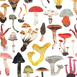 Mushrooms-pattern-spoonflower-icon_preview