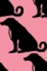 Koda-on-pink-for-bowties-50x75_preview