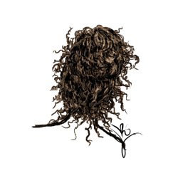 Messy_curly_hair-02_sig-02-01_preview