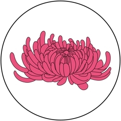 Chrysanthemum_favicon_preview