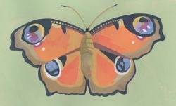 Orange_butterfly_moth_cropped_copy_2_preview