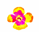 Picshop_thumb