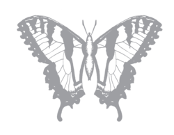 Image of the artist pastiche_designs who created this design