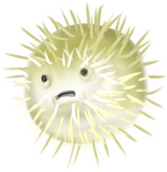 Pufferfish_preview