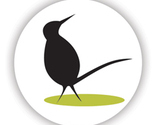 Curiousbird_greenbadge_thumb