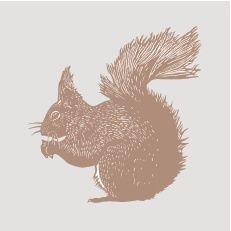 Spoonflower_squirrel_preview
