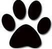 Paw_1_preview