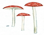 Three-mushrooms-watercolor_thumb